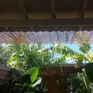https://gite-cote-cannes-studio-mini-piscine-2-pers.comcaribbean.com
